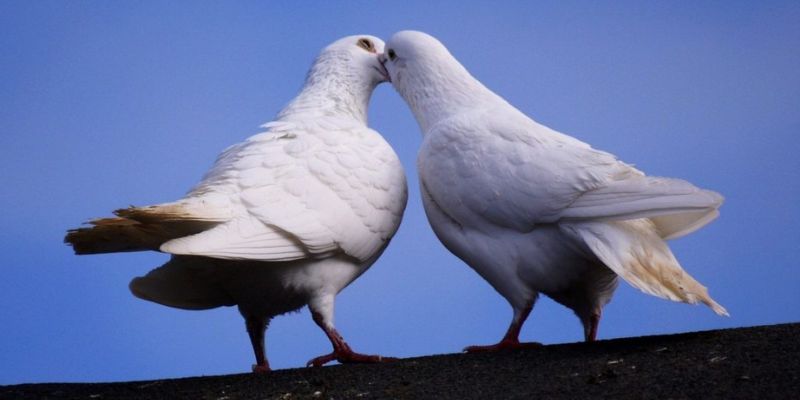 Tập hợp số may mắn trong chơi xổ số